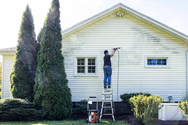 Best Patio and Deck Pressure Washing  in Glendale Heights, IL